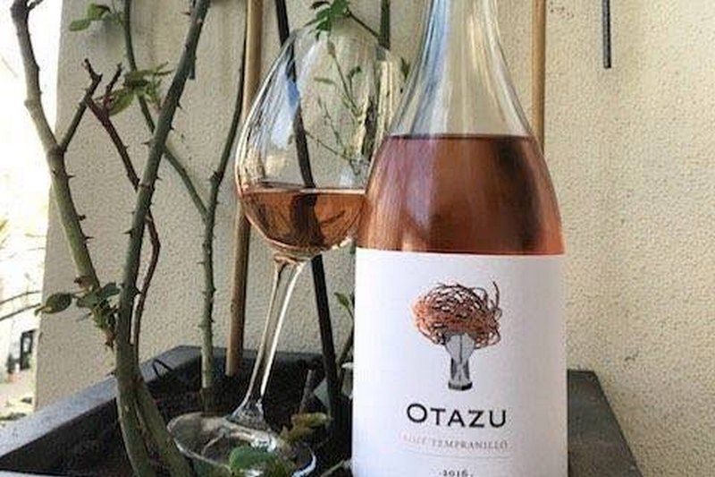 Otazu Rosé Tempranillo Navarra 2025 : l’élégance du rosé espagnol